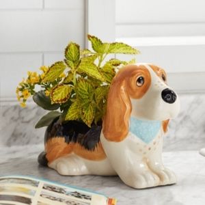 💕 New Pioneer Woman Charlie Planter